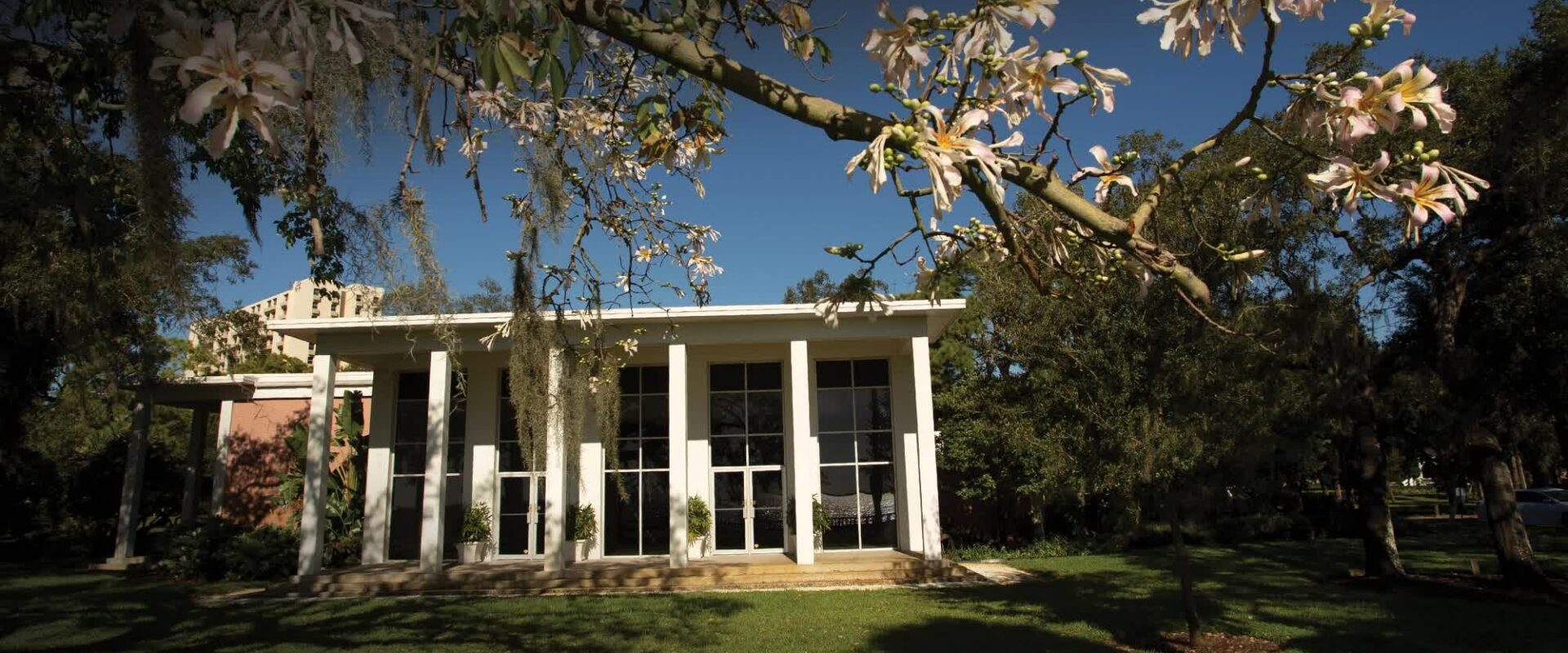 South Tampa Candidate Forum